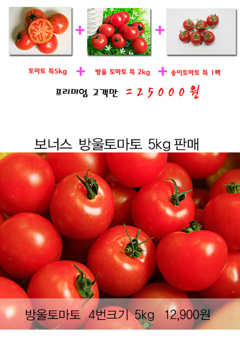 과일의모든것 이미지