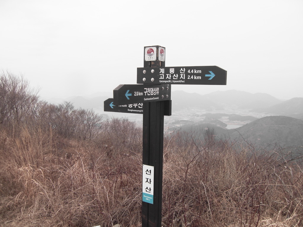 (주)동양해외관광 이미지