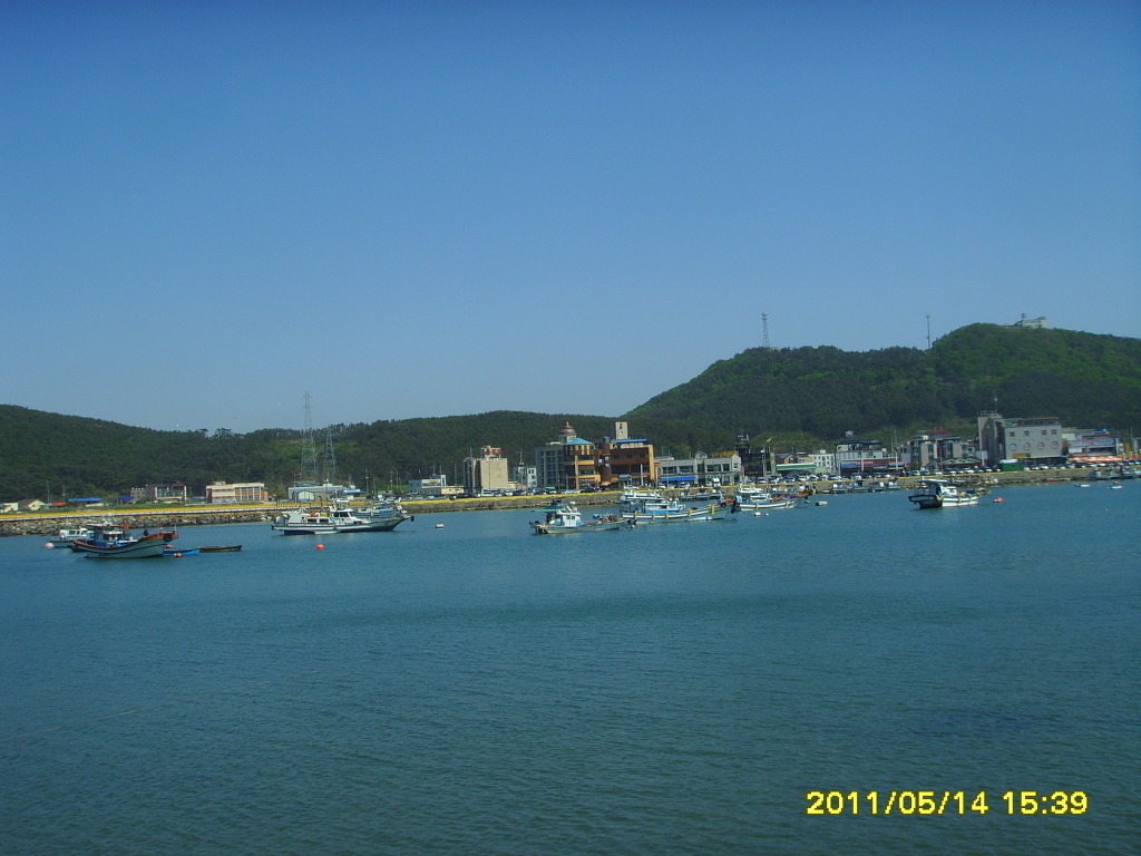 신진도수산 이미지