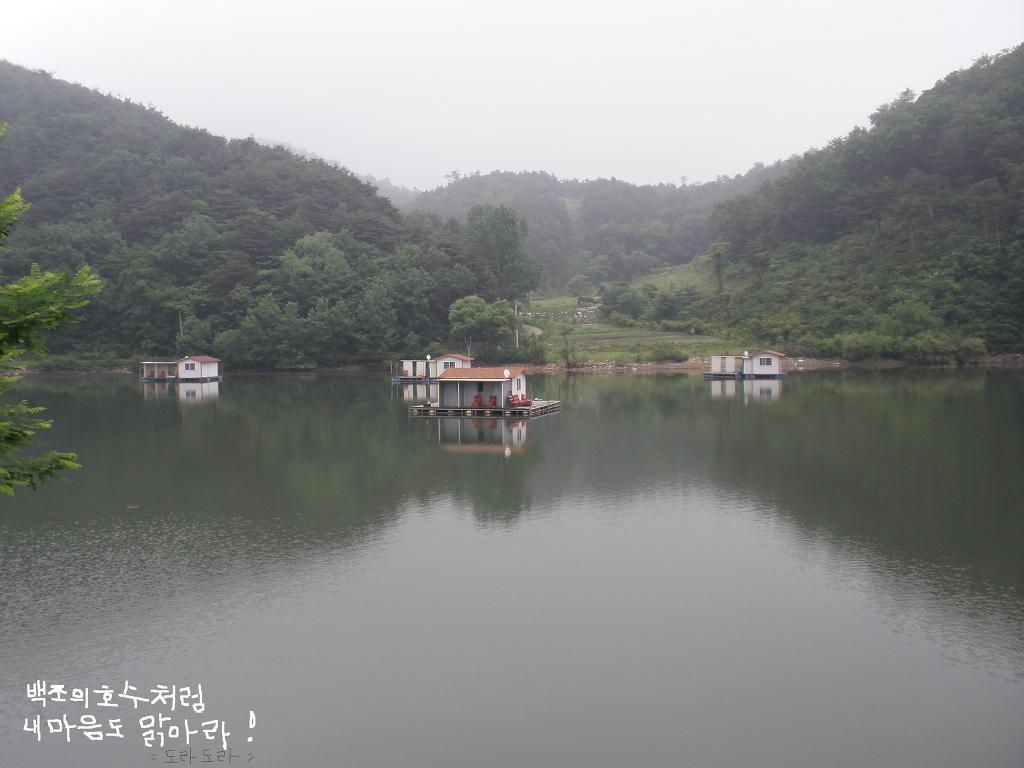 도라도라 이미지