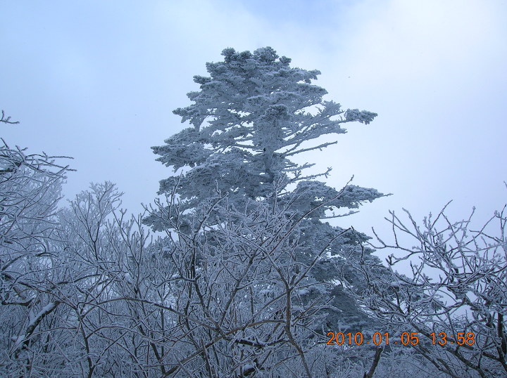 태백산 전경 이미지