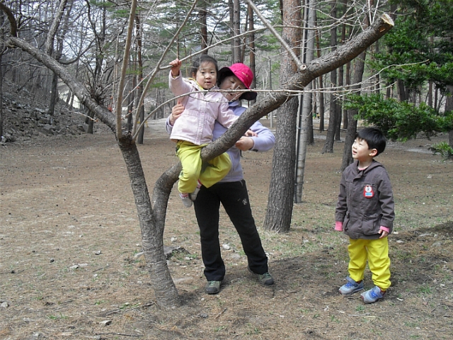 새롬유치원 이미지