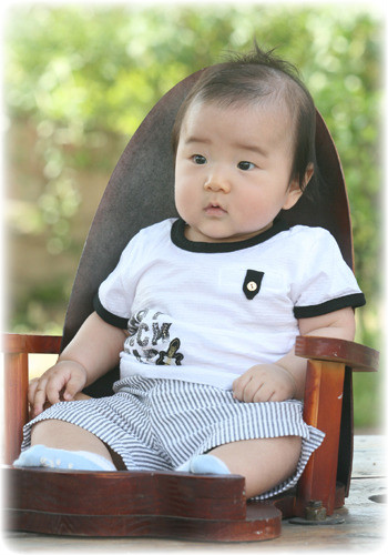 성원 이미지