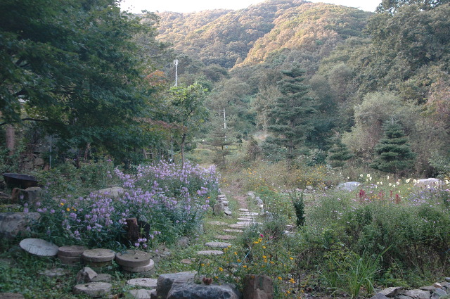 깊은산속옹달샘 이미지