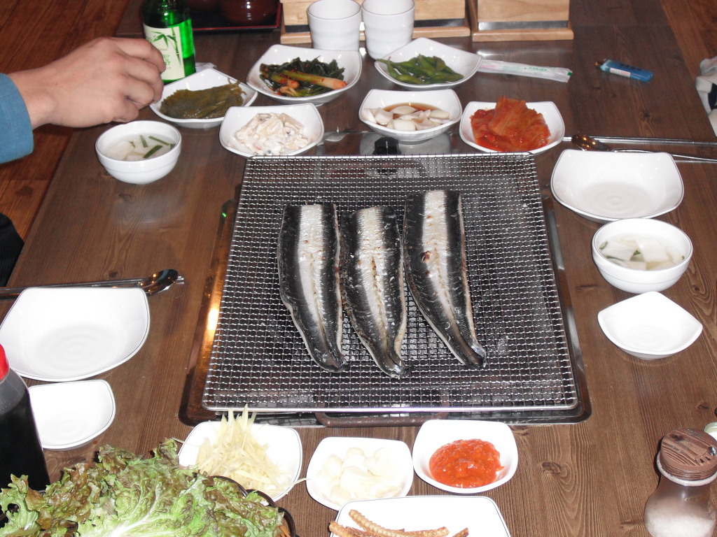 황금민물장어 이미지