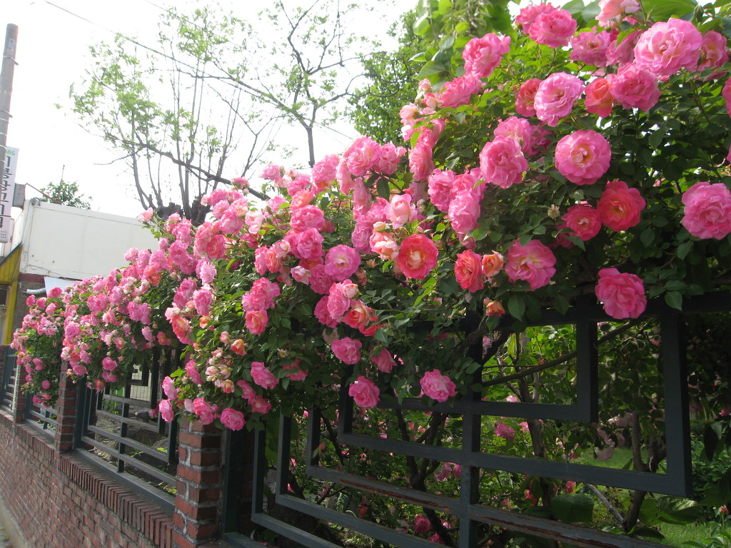 1676D2174A12050D2398FE