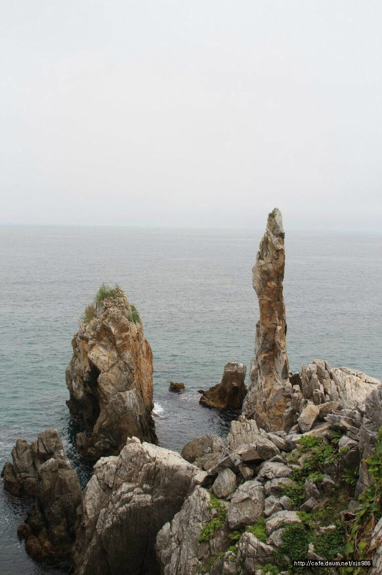 강릉초당두부 이미지