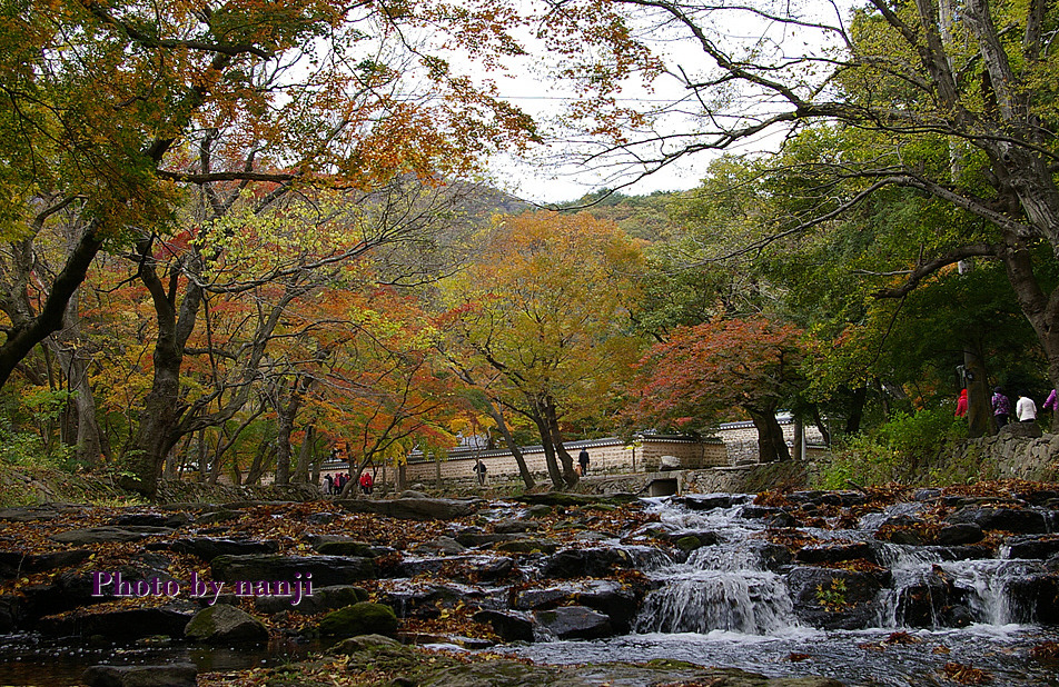 곰소장모님젓갈 이미지