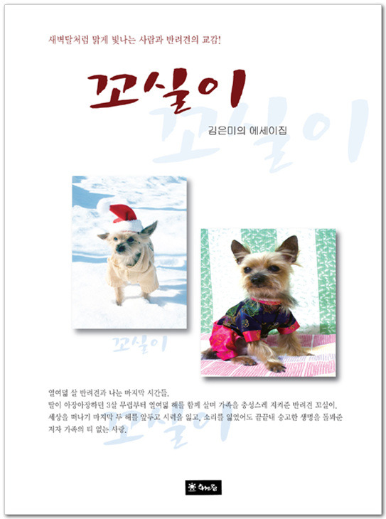 꼬실이 이미지