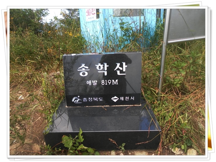 송학주유소 이미지