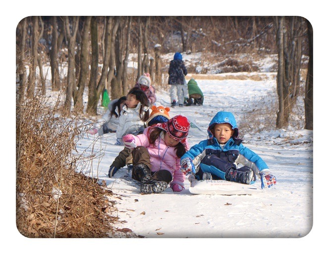 파주자연숲학교 이미지