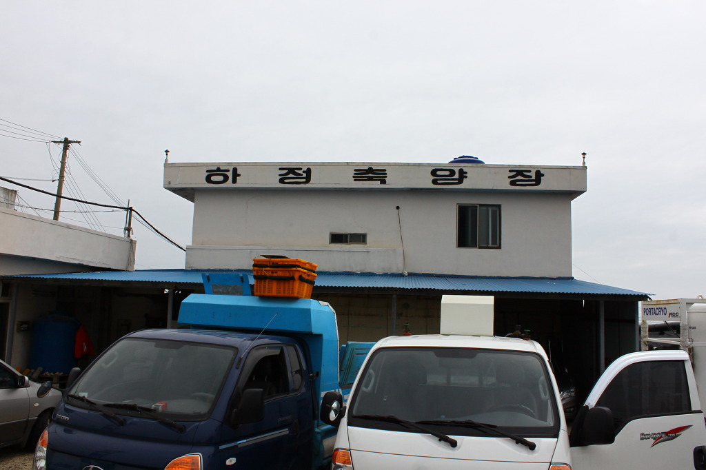 대보활어 이미지