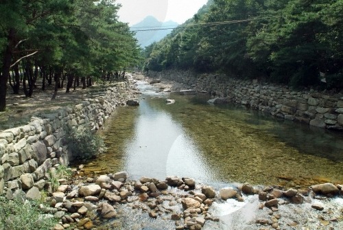 월악산특산물 이미지