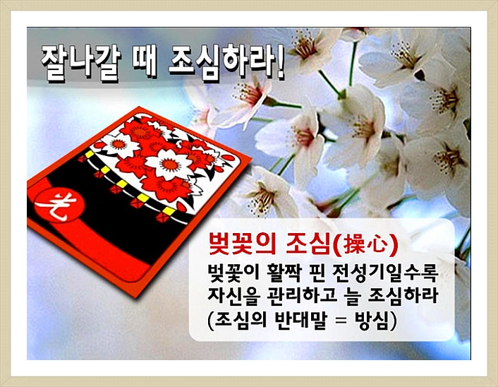광 이미지