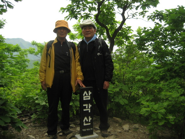 일타삼피 이미지