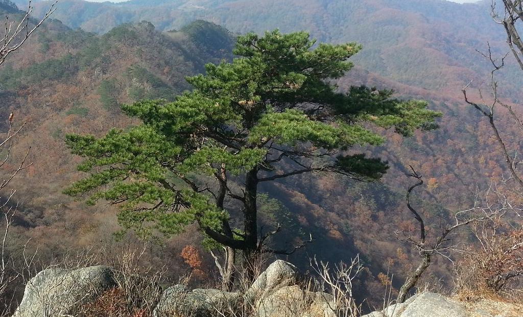 가리산자연휴양림 이미지