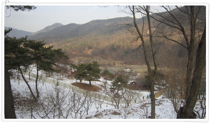 봉황자연휴양림 이미지