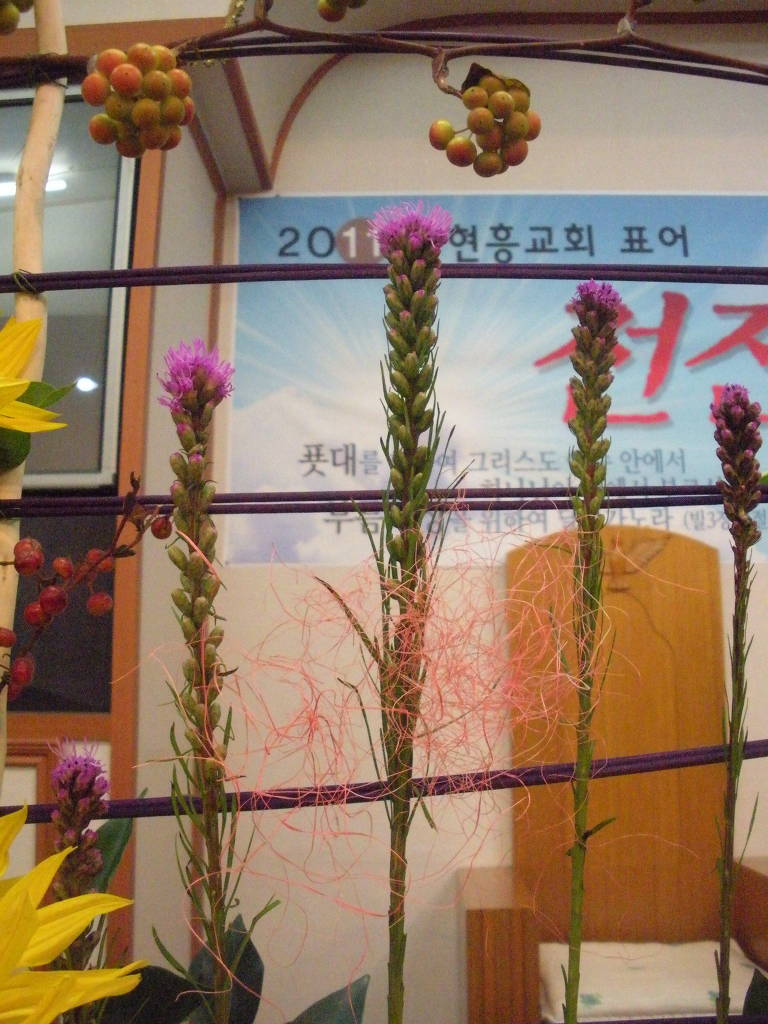 (주)해바라기 이미지