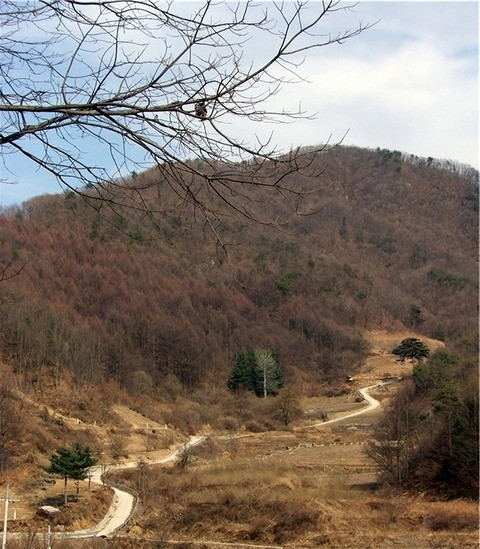 시골길 이미지