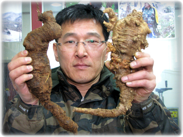 일송일식 이미지