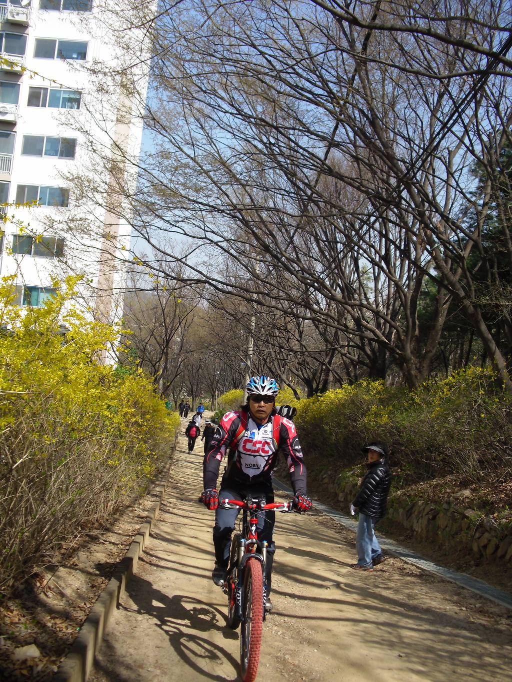 축제하는날 이미지