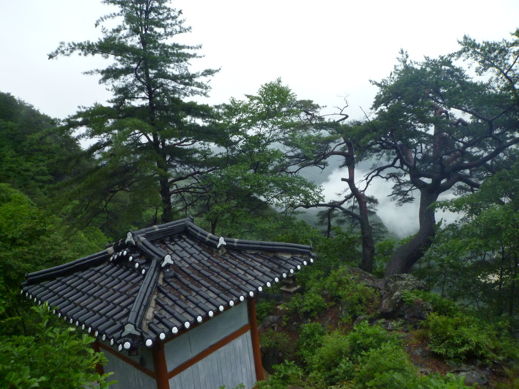정선감자전 이미지