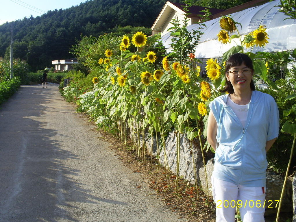 광판리 이미지