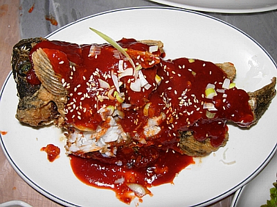 보성녹차리조트 이미지