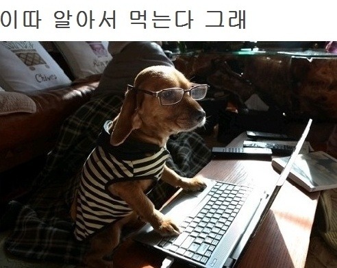 먹자 이미지