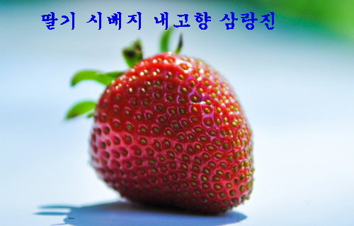 삼랑진농업협동조합 이미지