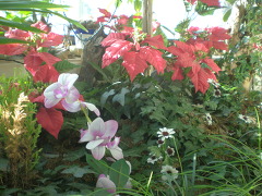 성화주단 이미지