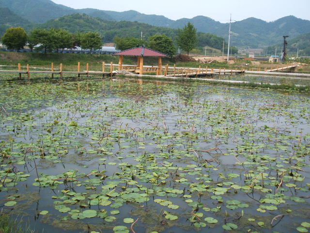 우리방 이미지