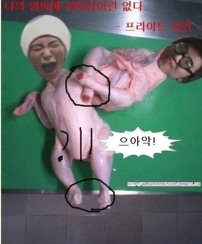 비비비 이미지