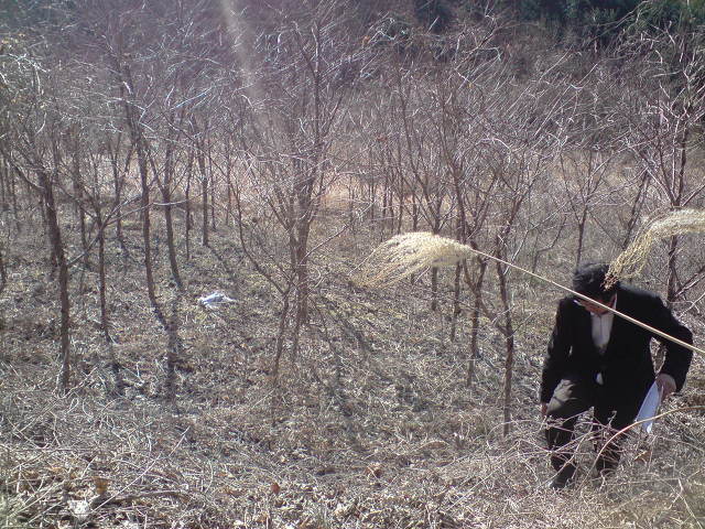 우야꼬 이미지