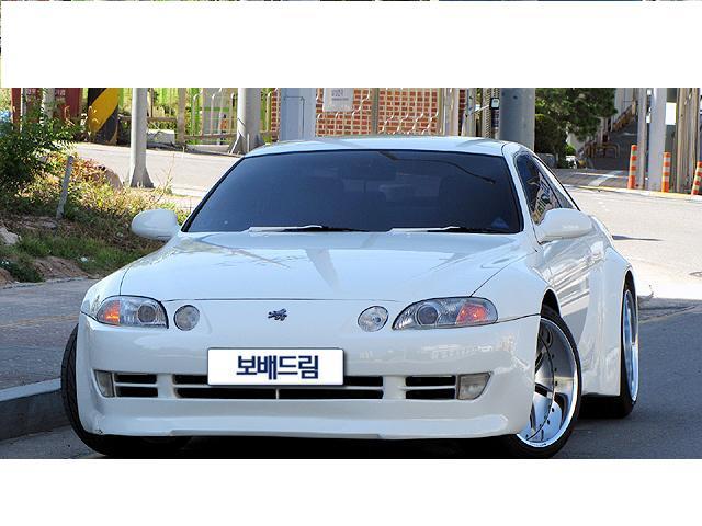 와일드바디 이미지