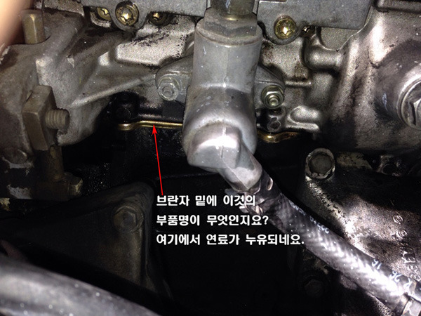 제일부란자 이미지