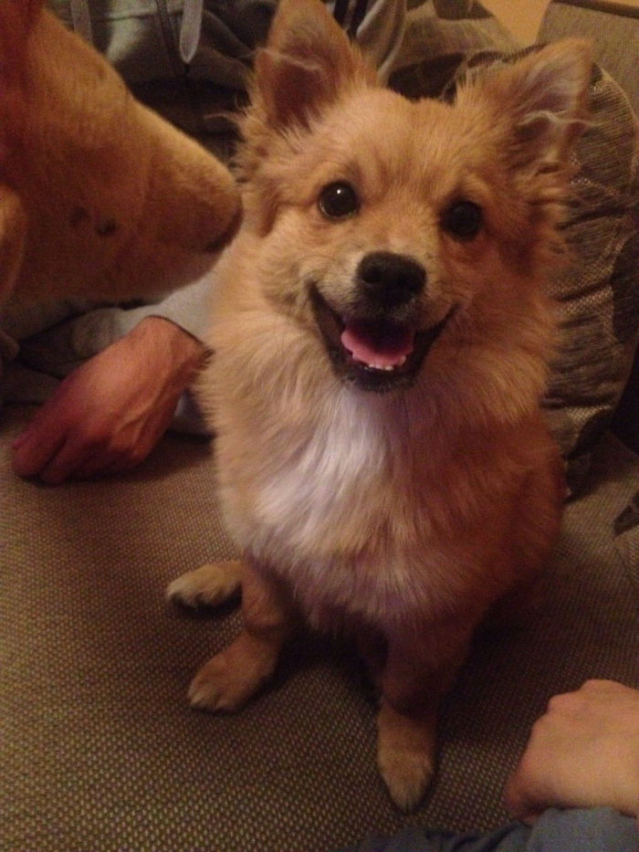 2101833C5602ABF21726FD