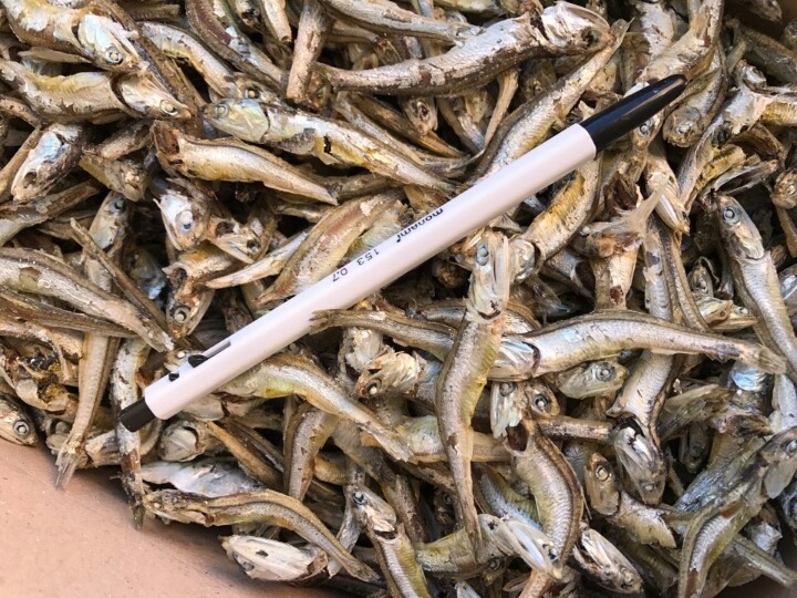 남해안건어물 이미지