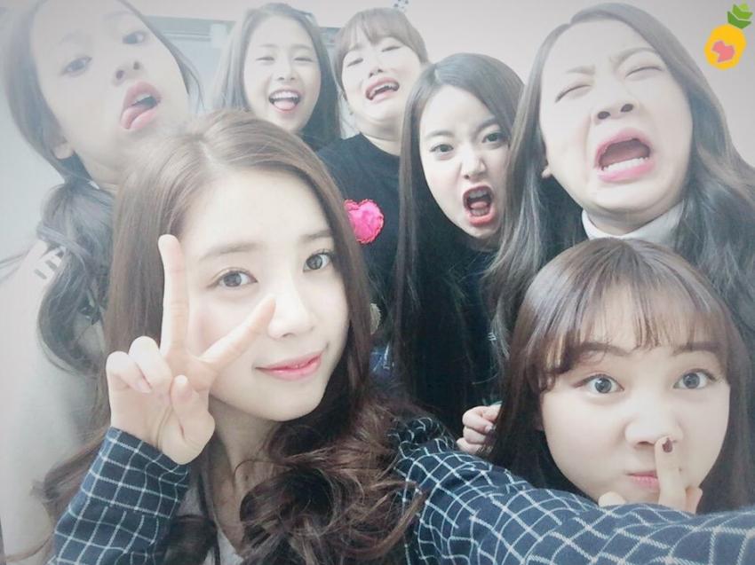 에이프릴+윤채경,조시윤 얼굴몰아주기 | 인스티즈