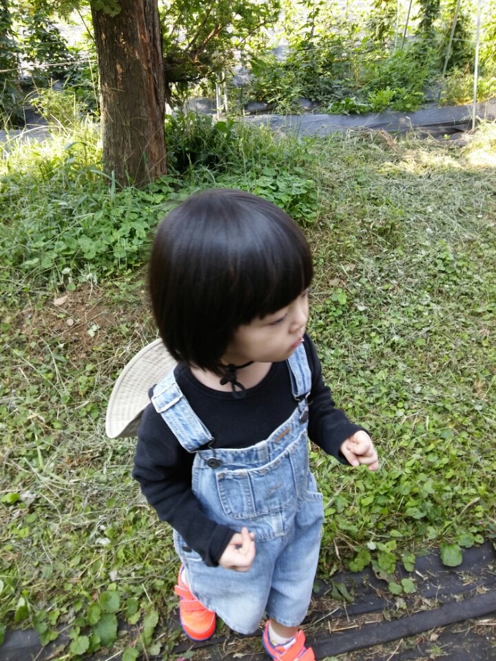 풀빛농원 이미지