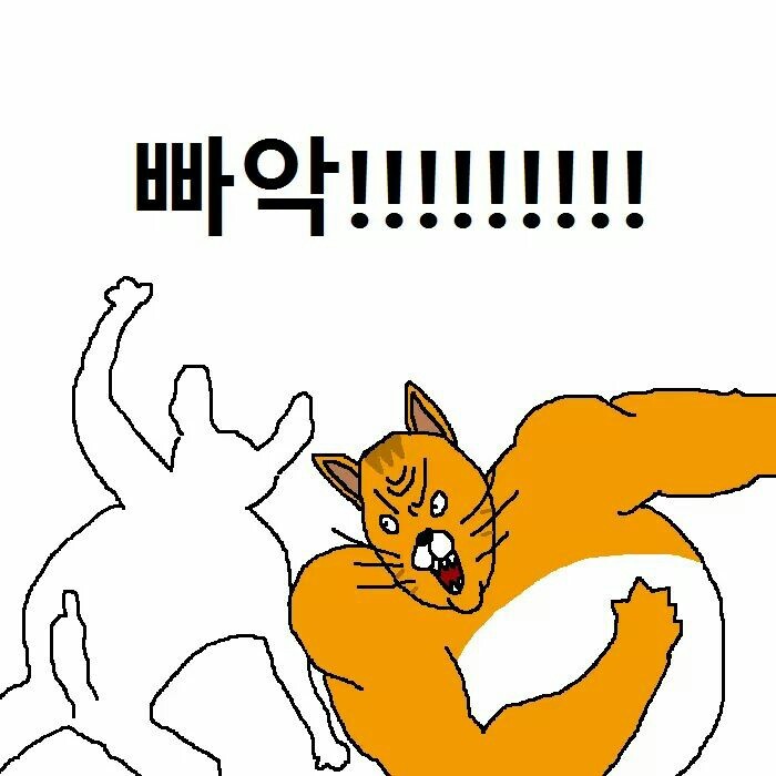 상남자 고양이가 아들 교육하는 만화 | 인스티즈