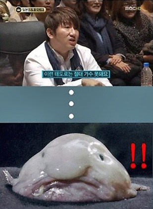 잘생긴물고기 이미지