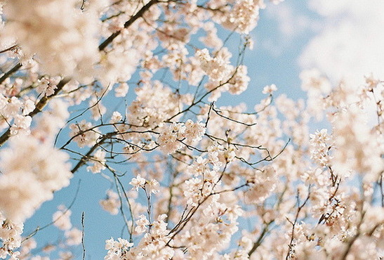 100일 뒤.jpg | 인스티즈