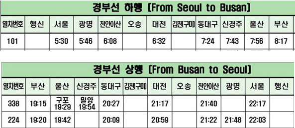 대마도투어주 이미지