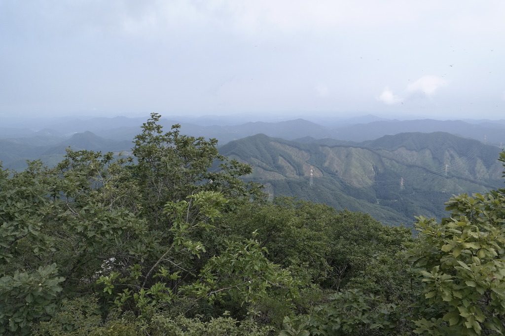 송이재봉 정상(670m) 이미지