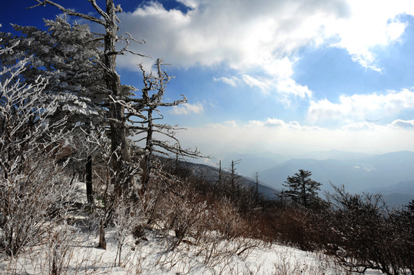 덴버건설(주) 이미지