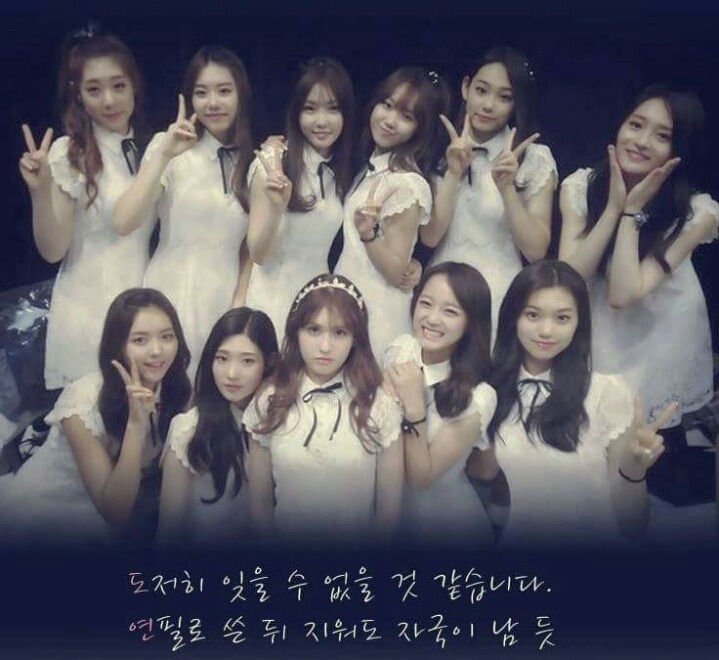 앙시 이미지