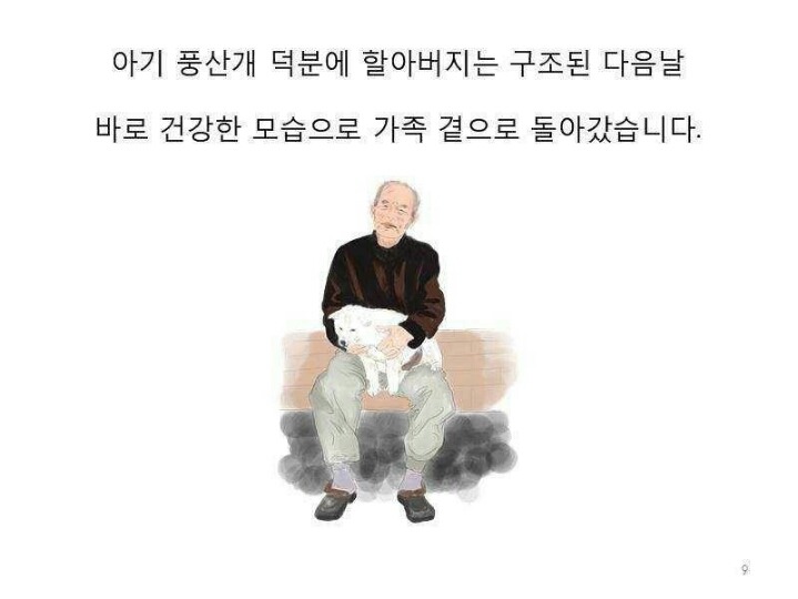 치매 할아버지를 구한 풍산개 | 인스티즈