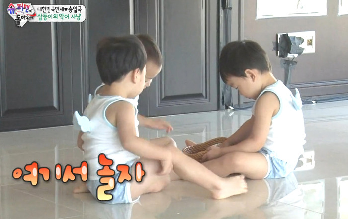재미로 보는 삼둥이 서열 | 인스티즈