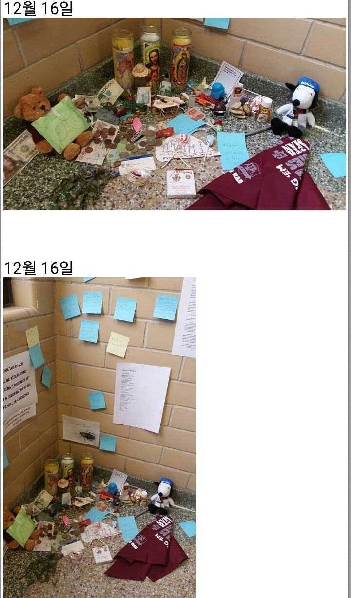 어느 대학교의 장례식... | 인스티즈
